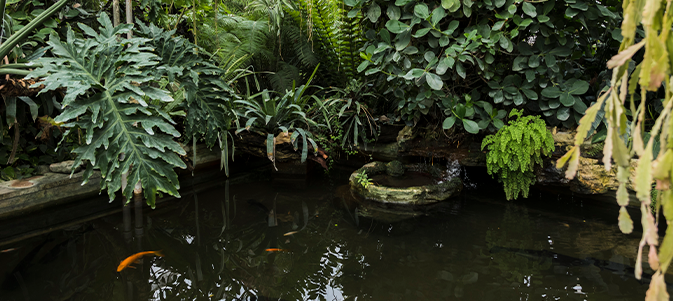 Jardines diseñados Grand Cactus